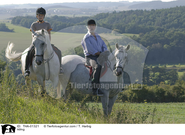 Freizeitreiten / riding / THA-01321