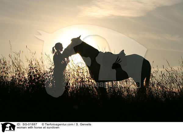 junge Frau mit Pferd im Sonnenuntergang / woman with horse at sundown / SG-01887
