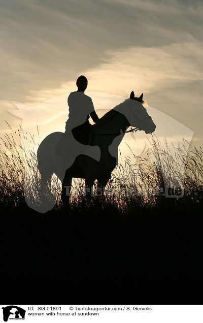 junge Frau mit Pferd im Sonnenuntergang / woman with horse at sundown / SG-01891