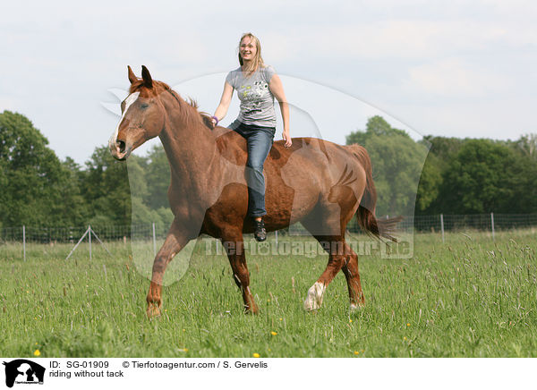 reiten ohne Sattel und Zaumzeug / riding without tack / SG-01909