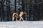 trotting horse