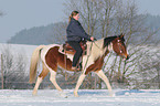 trotting horse