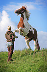 rising pony