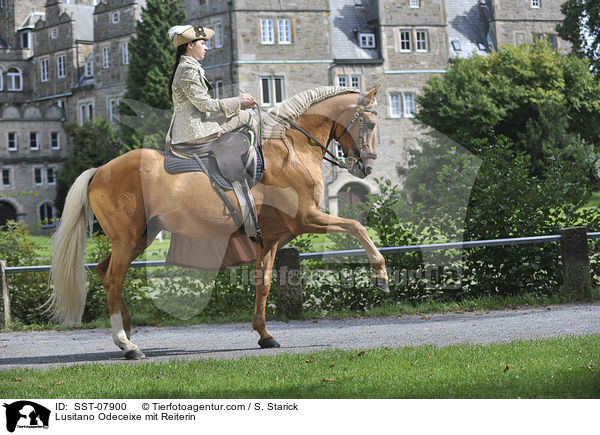 Lusitano Odeceixe mit Reiterin / Lusitano Odeceixe mit Reiterin / SST-07900