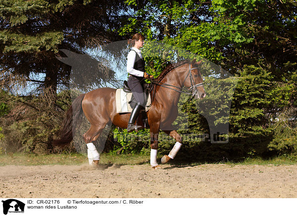 Frau reitet Lusitano / woman rides Lusitano / CR-02176