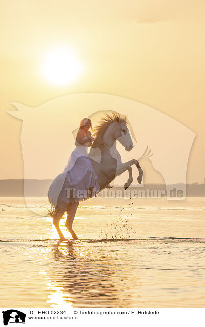 Frau und Lusitano / woman and Lusitano / EHO-02234