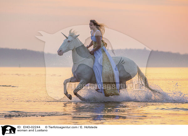 Frau und Lusitano / woman and Lusitano / EHO-02244