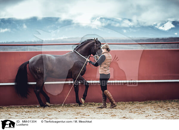 Lusitano / Lusitano / MM-01304