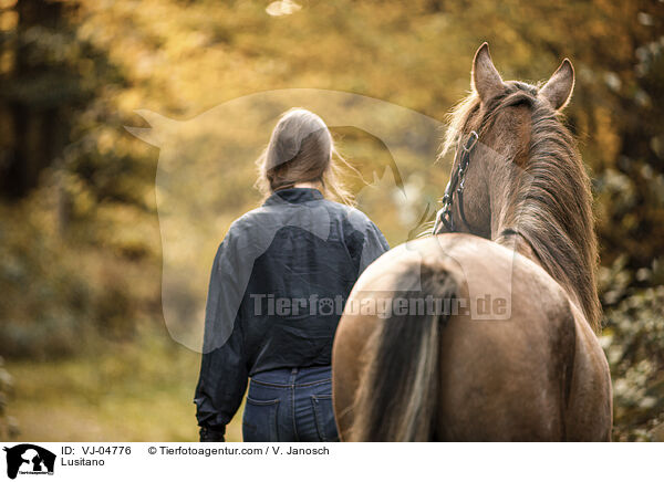 Lusitano / Lusitano / VJ-04776