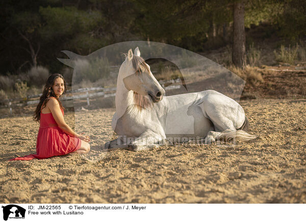 Freiarbeit mit Lusitano / Free work with Lusitano / JM-22565