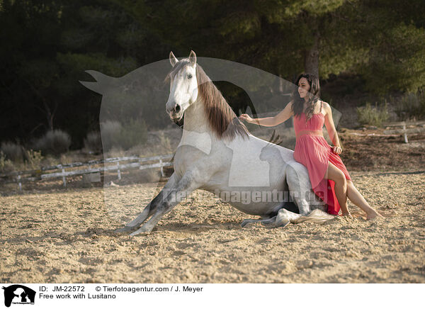 Freiarbeit mit Lusitano / Free work with Lusitano / JM-22572