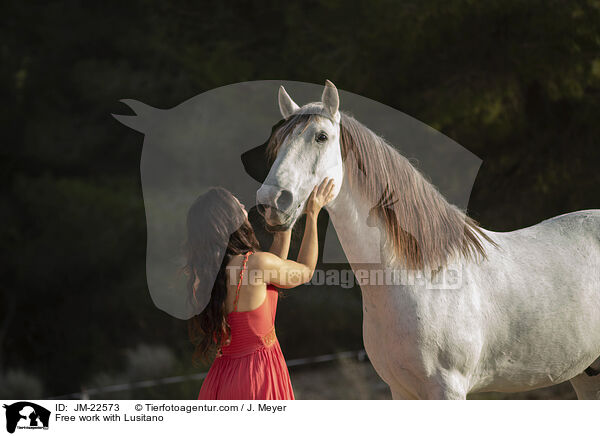 Free work with Lusitano / JM-22573