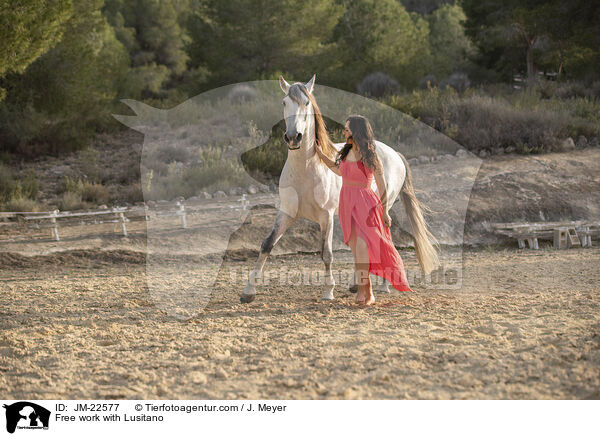 Freiarbeit mit Lusitano / Free work with Lusitano / JM-22577