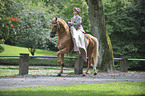 Lusitano Odeceixe mit Reiterin