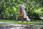 Lusitano Odeceixe mit Reiterin