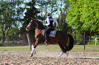 woman rides Lusitano