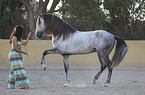 woman with Lusitano