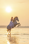 woman and Lusitano