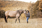 Lusitano
