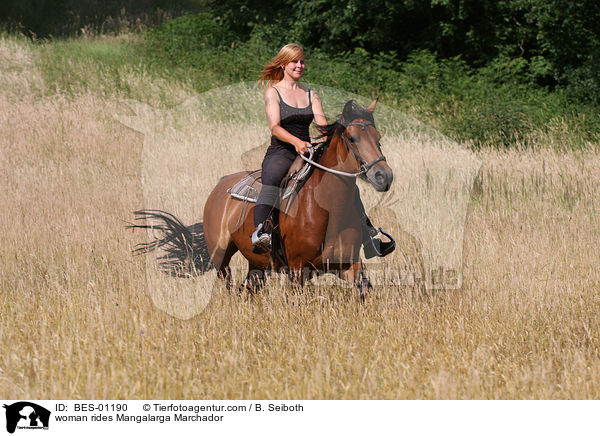 Frau reitet Mangalarga Marchador / woman rides Mangalarga Marchador / BES-01190