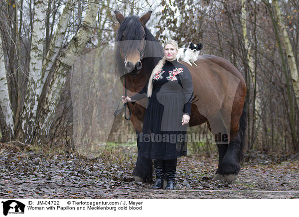 Frau mit Papillon und Mecklenburger Kaltblut / Woman with Papillon and Mecklenburg cold blood / JM-04722