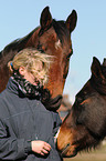 Mecklenburg Warmblood