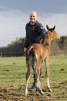 foal