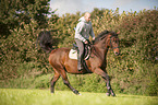 man rides Mecklenburg Warmblood