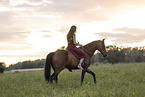 woman rides Mecklenburg Warmblood