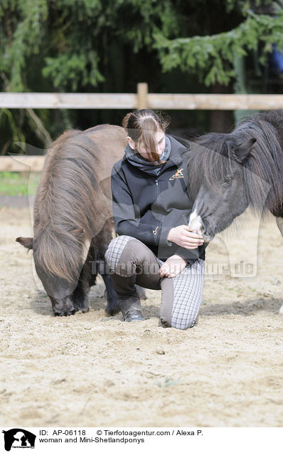 Frau mit Mini-Shetlandponys / woman and Mini-Shetlandponys / AP-06118