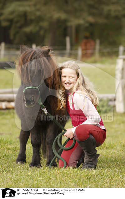 girl and Miniature Shetland Pony / VM-01564