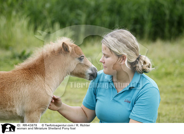 woman and Miniature Shetland Pony foal / RR-43878