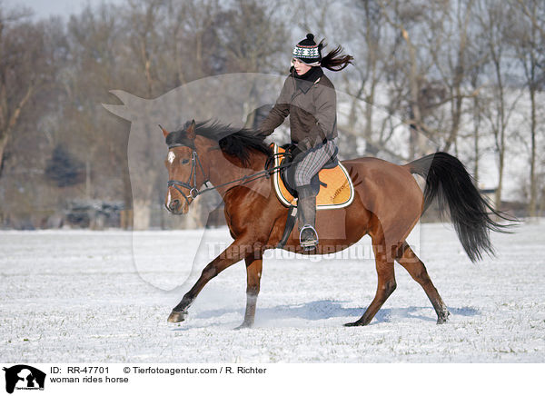 Frau reitet Araber-Mix / woman rides horse / RR-47701