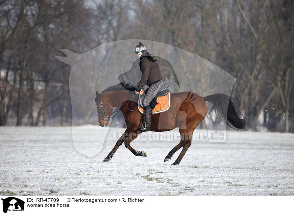 Frau reitet Araber-Mix / woman rides horse / RR-47709