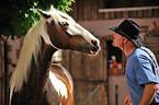 man and horse