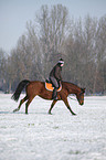 woman rides horse