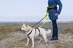 woman and Mongrel