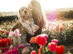 woman with mongrel