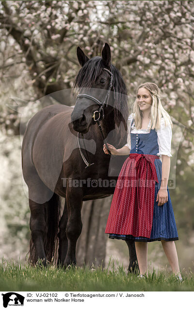 woman with Noriker Horse / VJ-02102