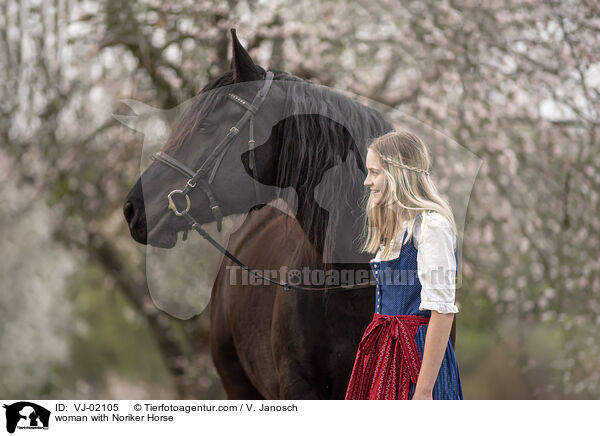 woman with Noriker Horse / VJ-02105