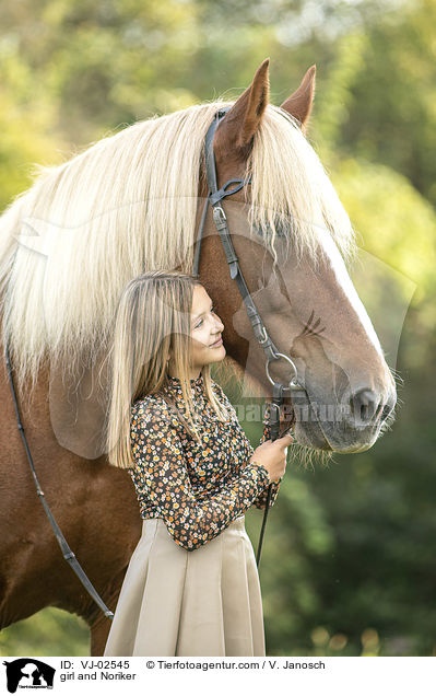 girl and Noriker / VJ-02545