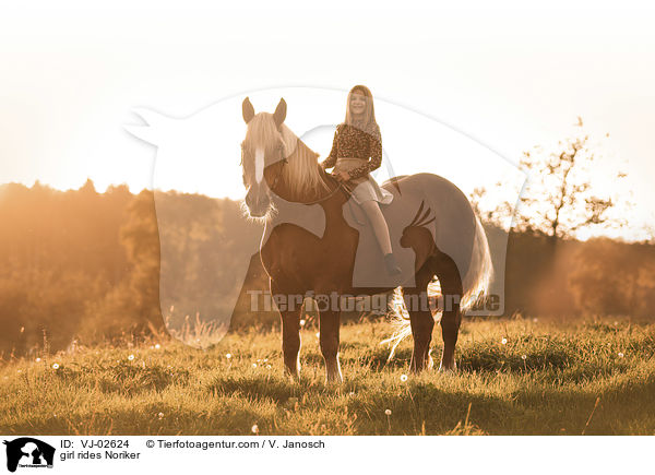 Mdchen reitet Noriker / girl rides Noriker / VJ-02624