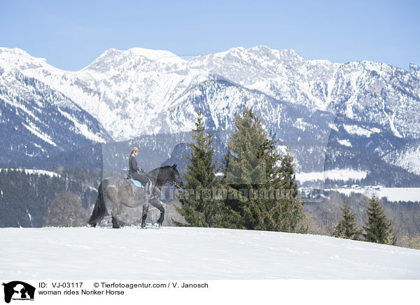Frau reitet Noriker / woman rides Noriker Horse / VJ-03117