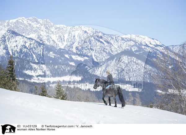 woman rides Noriker Horse / VJ-03129