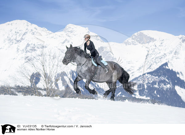 woman rides Noriker Horse / VJ-03135