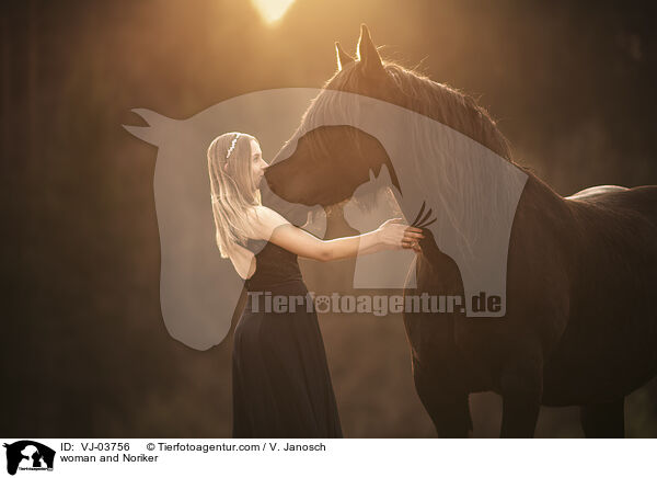 Frau und Noriker / woman and Noriker / VJ-03756