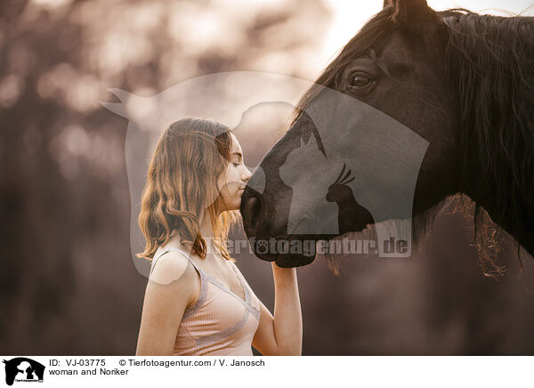 woman and Noriker / VJ-03775