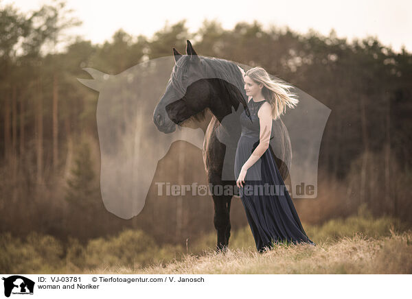 Frau und Noriker / woman and Noriker / VJ-03781