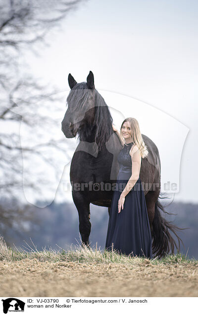 woman and Noriker / VJ-03790