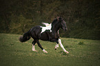 running Noriker